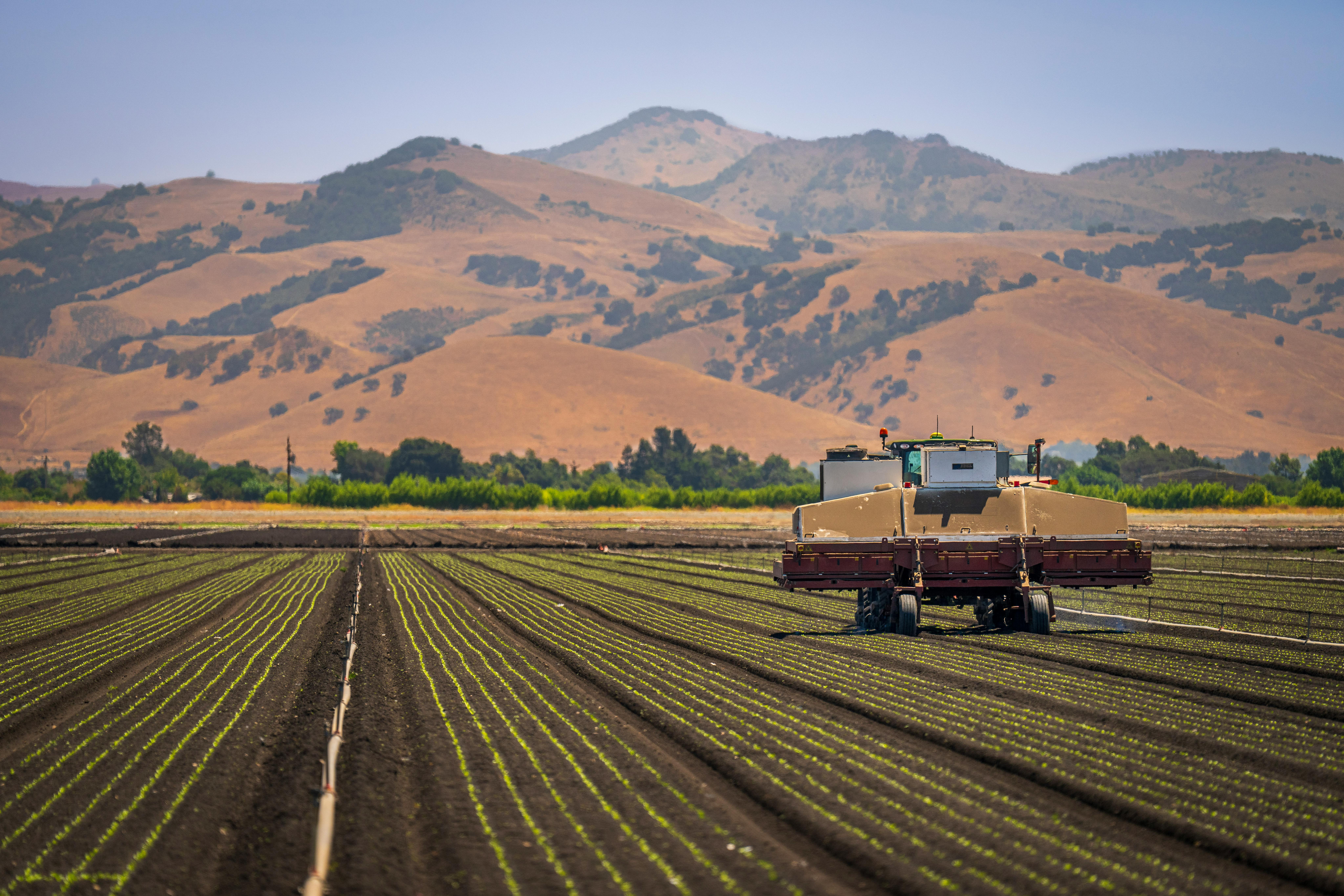 Agribusiness Entrepreneurs and their Market Share