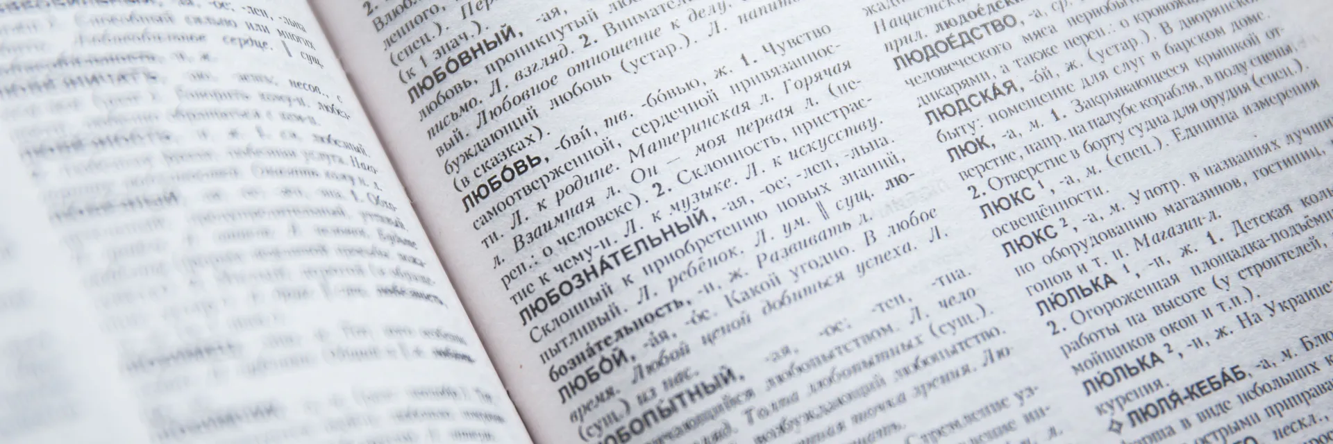 Discourse-Pragmatic Functions for Shared and Thematic Information Structures Banner