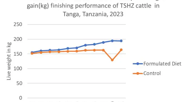 Innovative and Affordable Feed Solutions for Enhancing Cattle Finishing in Tanzania