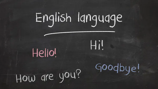 The Impact of Teaching English Language from Communicative Perspective: A Case Study of Universities and Schools in Yemen