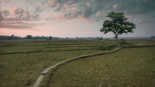 Ongoing Implementation and Policy Challenges of Land Acquisition in West Bengal: A Sociological Study