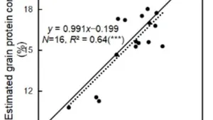A Semi-Empirical Model of Winter Wheat Grain Protein Content