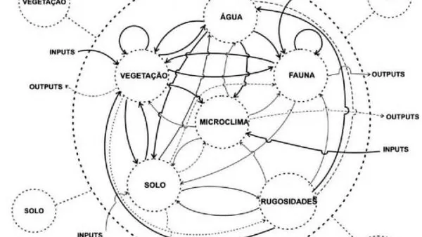 Systemic Approach and Use of Models for Rehabilitation of  Degraded Areas