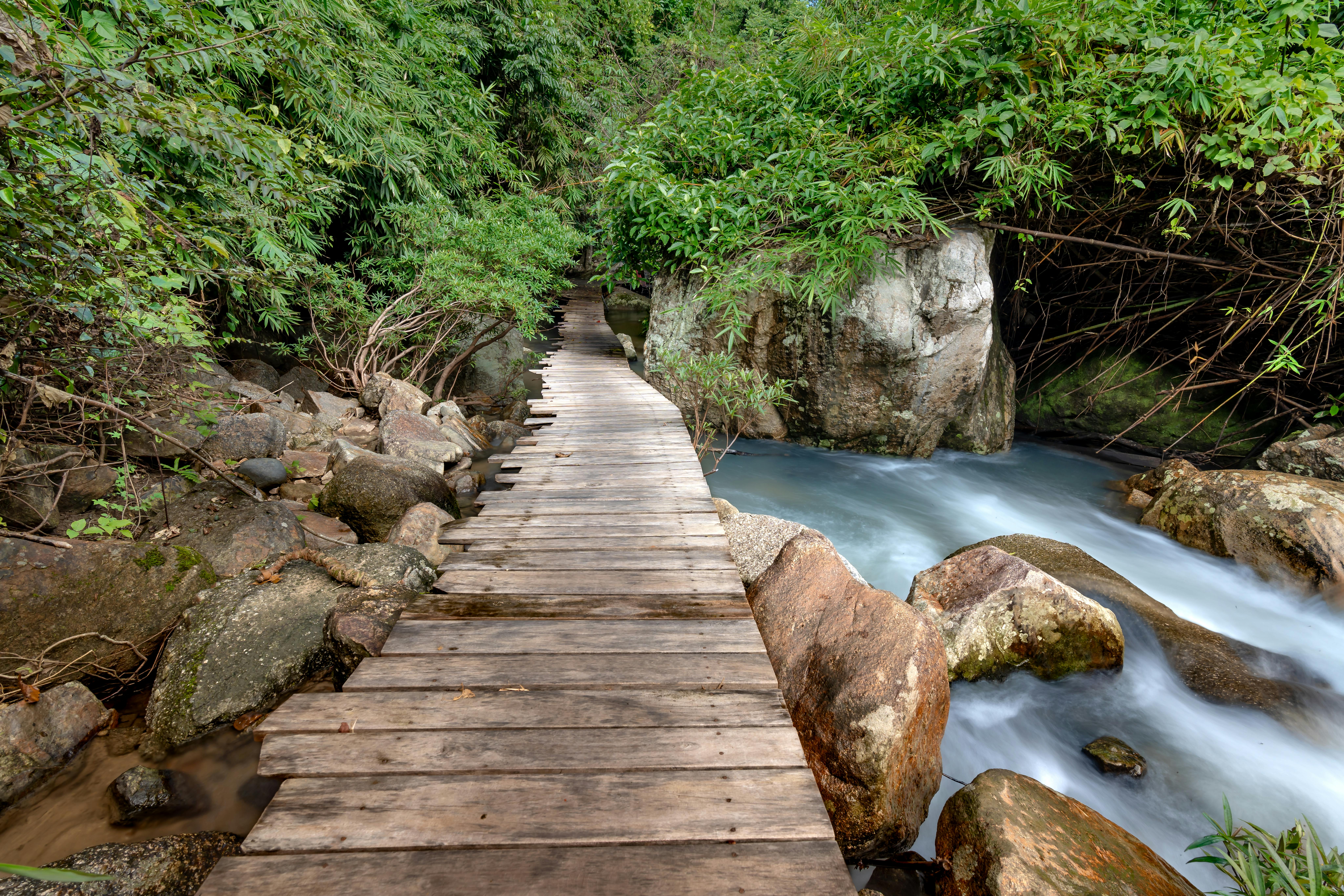 Social and Emotional Learning in Online University Education for the Japanese Youth Trapped by Social Norms