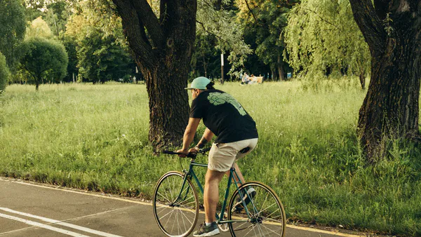 The Problem Managing Bicycling Mobility in Latin American Cities: Ciclovias Recreativas Programs as Political Technologies Governance