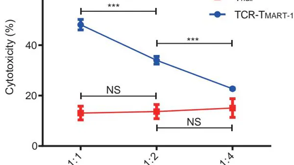 Regulation of Specific Cell Clusters in TCR-T Cells Responding to Differential Expression of Tumor PD-L1
