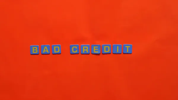 Assessment of Credit Scoring Models Performance in Cameroon: A Contextual Empirical Analysis