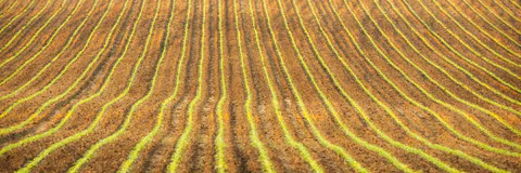 Assessment of Soil Fertility Status under Different Farmers Soil Management Practices in Karu Local Government Area of Nasarawa State Nigeria