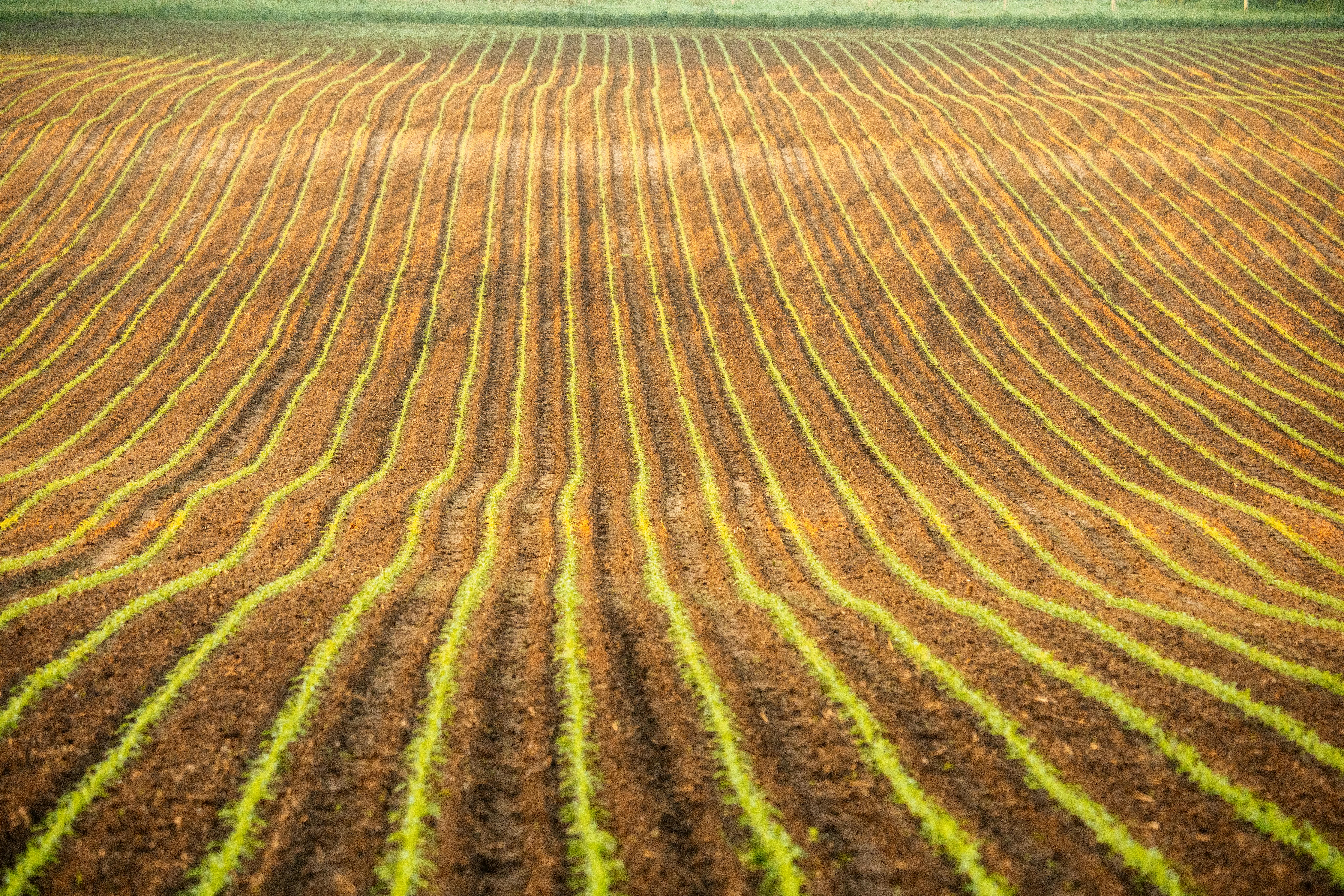 Assessment of Soil Fertility Status under Different Farmers Soil Management Practices in Karu Local Government Area of Nasarawa State Nigeria