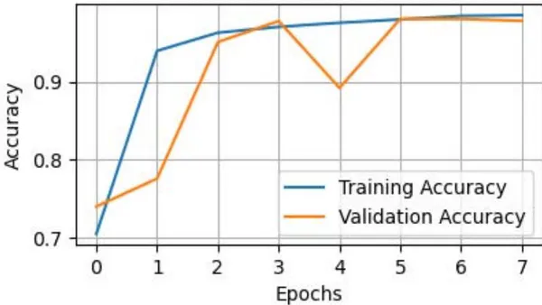 A Combination of Data Augmentation Techniques for Mango Leaf Diseases Classification
