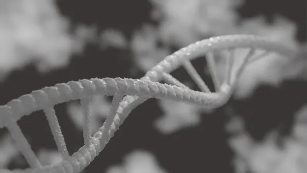 Global Role of Low Molecular Weight Nucleic Acids in Biological Systems
