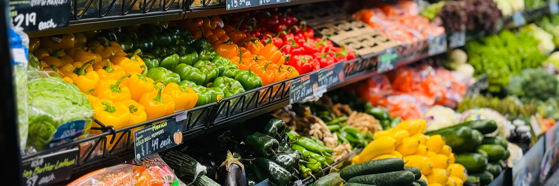 The Founding Analytical Categories to the Concept of Nutritional Rationality: Qualitative Research with Postgraduate Programs Professors in Nutrition in Brazil Banner