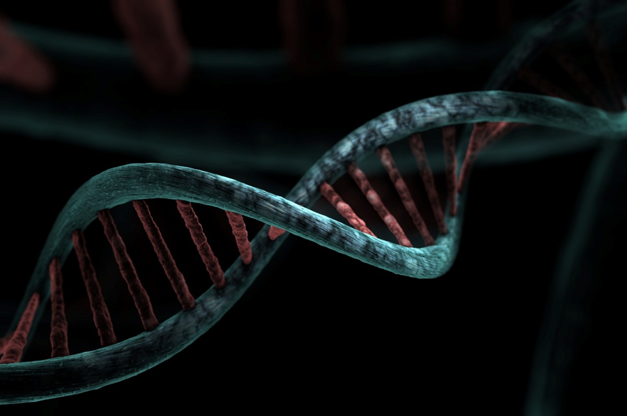 Quantum Genome or Quantum Computer?