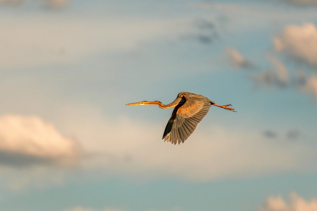 The Enslaved Women in the Work A Color Defect by Ana Maria Gonçalves: What Says the Post-Colonial? Banner