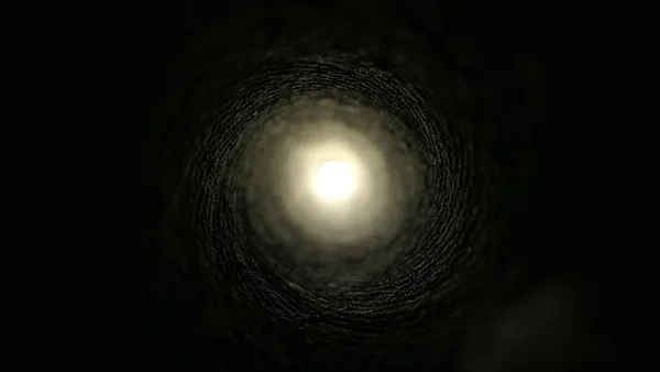 Holographic Phenomenon of the Fifth Cosmic Force
