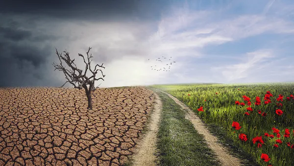 CO2: A Contemporary Analysis of the Impact of Economic Growth and Energy on Carbon Dioxide Emissions