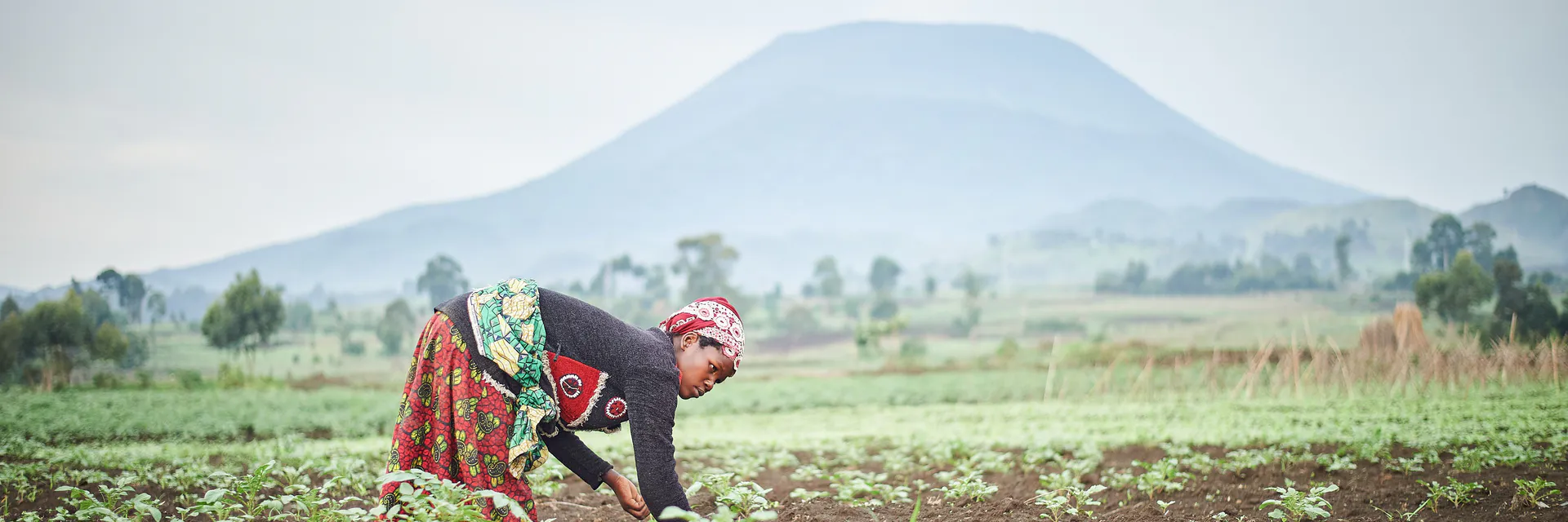 Les Femmes Peulhes dans la Sous-Préfecture de Togoniéré au Nord de la Côte d’Ivoire, entre Résilience et Adaptation Banner