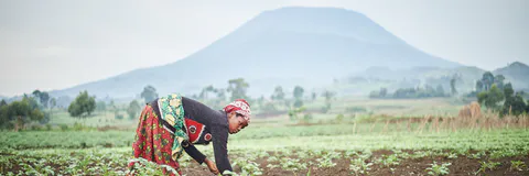 Les Femmes Peulhes dans la Sous-Préfecture de Togoniéré au Nord de la Côte d’Ivoire, entre Résilience et Adaptation