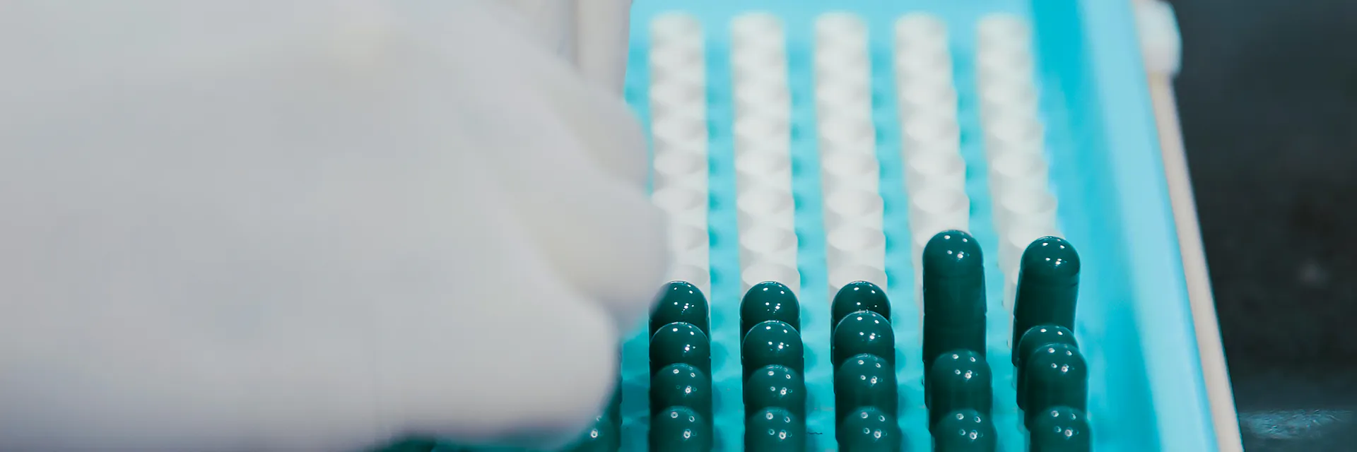 Development of Dietary Supplement Capsules “Nigelit”  using Mathematical Methods Banner