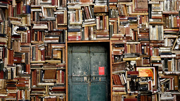 The Image of the Teacher in the Chronicles of the Book The Everyday Imaginary