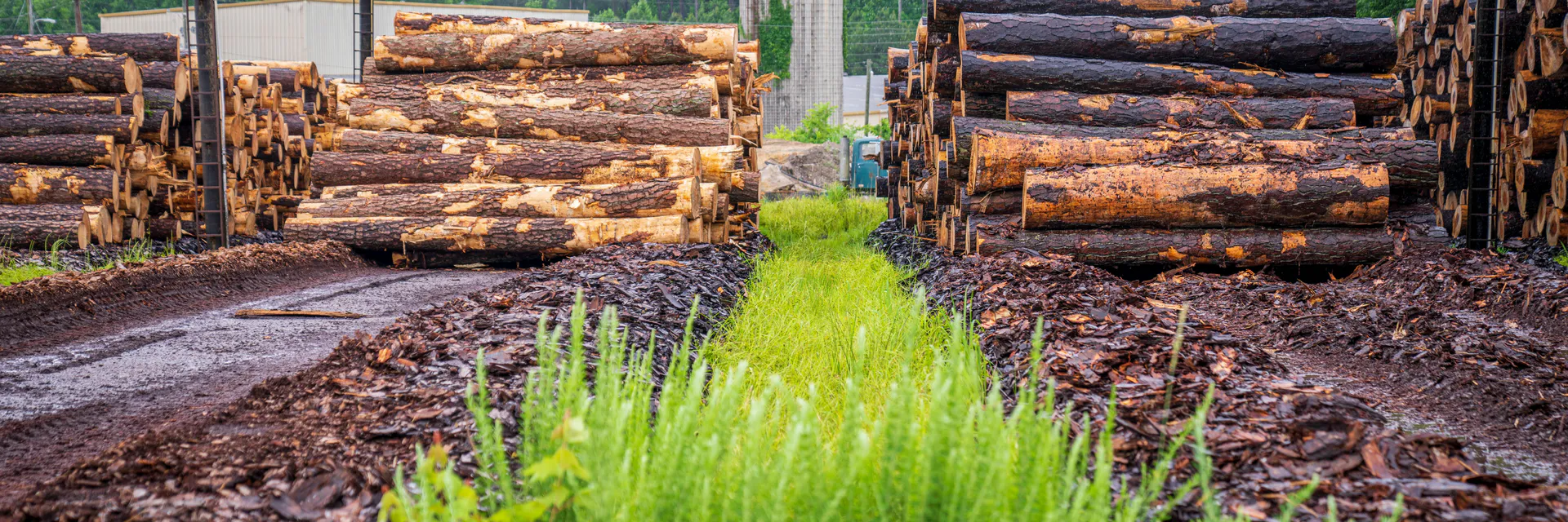The Adoption of ISO 14001 Environmental Management System in Supply Chain Warehousing: A Case Study Banner
