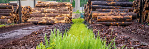 The Adoption of ISO 14001 Environmental Management System in Supply Chain Warehousing: A Case Study