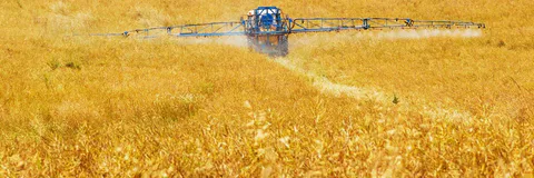 Avances En La Resistencia Del Género Conyza A Distintos Herbicidas Pre Y Posemergentes