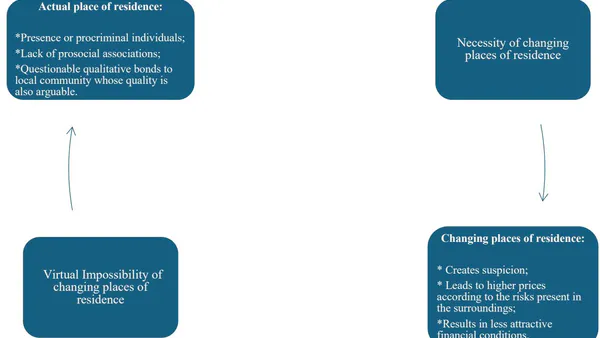 Algorithmic Bias and Place of Residence: Feedback Loops in Financial and Risk Assessment Tools