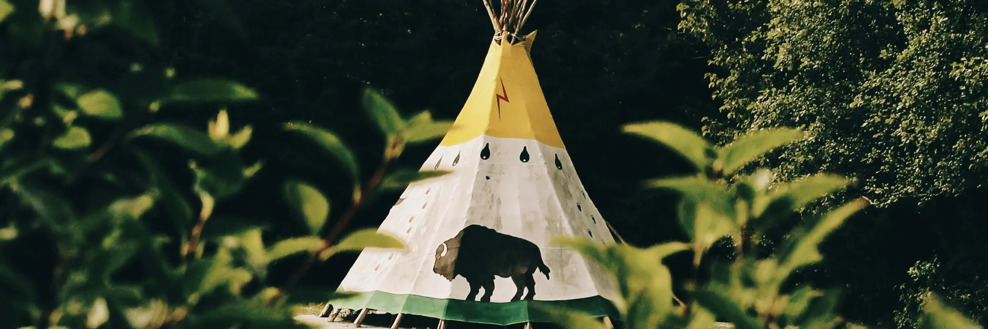 The Cooperative Economic Logic of Indigenous Environmental Practices: Lessons for a Sustainable Future Banner