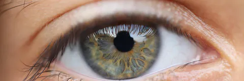 Integrating Network Pharmacology and Molecular Docking to Identify the Active Substances and Mechanisms of Chrysanthemum Against Dry Eye
