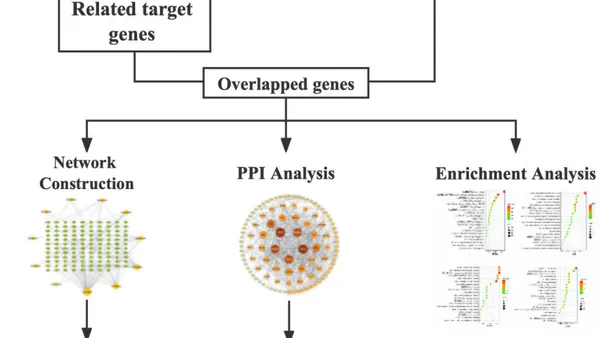 Integrating Network Pharmacology and Molecular Docking to Identify the Active Substances and Mechanisms of Chrysanthemum Against Dry Eye
