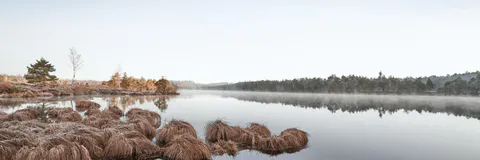 Silence is the Language of God and Source of Strength: Exploring the Hidden Benefits of Silence