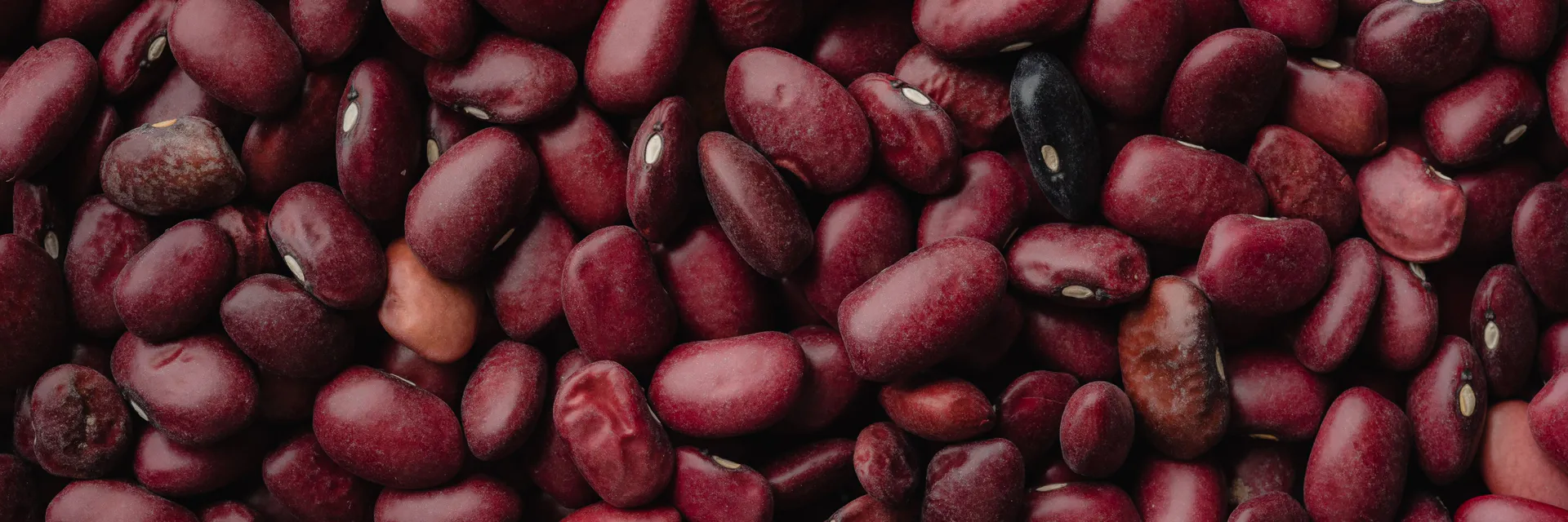 Assessment of Quantitative Variation of Rajma Bean Genotypes for Yield and Yield Attributing Traits in Multi-Environments of Nepal Banner