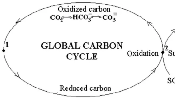 Dynamic Interplay: Unveiling the Biosphere-Geosphere Nexus in  Carbon Cycling