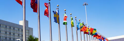 Exploring Opportunities and Successes: Navigating Self-Initiated Expatriates in the USA