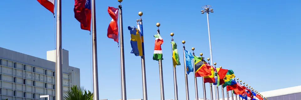 Exploring Opportunities and Successes: Navigating Self-Initiated Expatriates in the USA Banner
