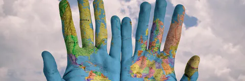 Growth and Distribution Performances in Developing Economies