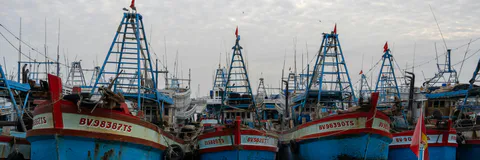 A Monte Carlo-based Evaluation of Fishery Management Strategies for Lizardfish (Saurida undosquamis) in the Gulf of Suez, Red Sea