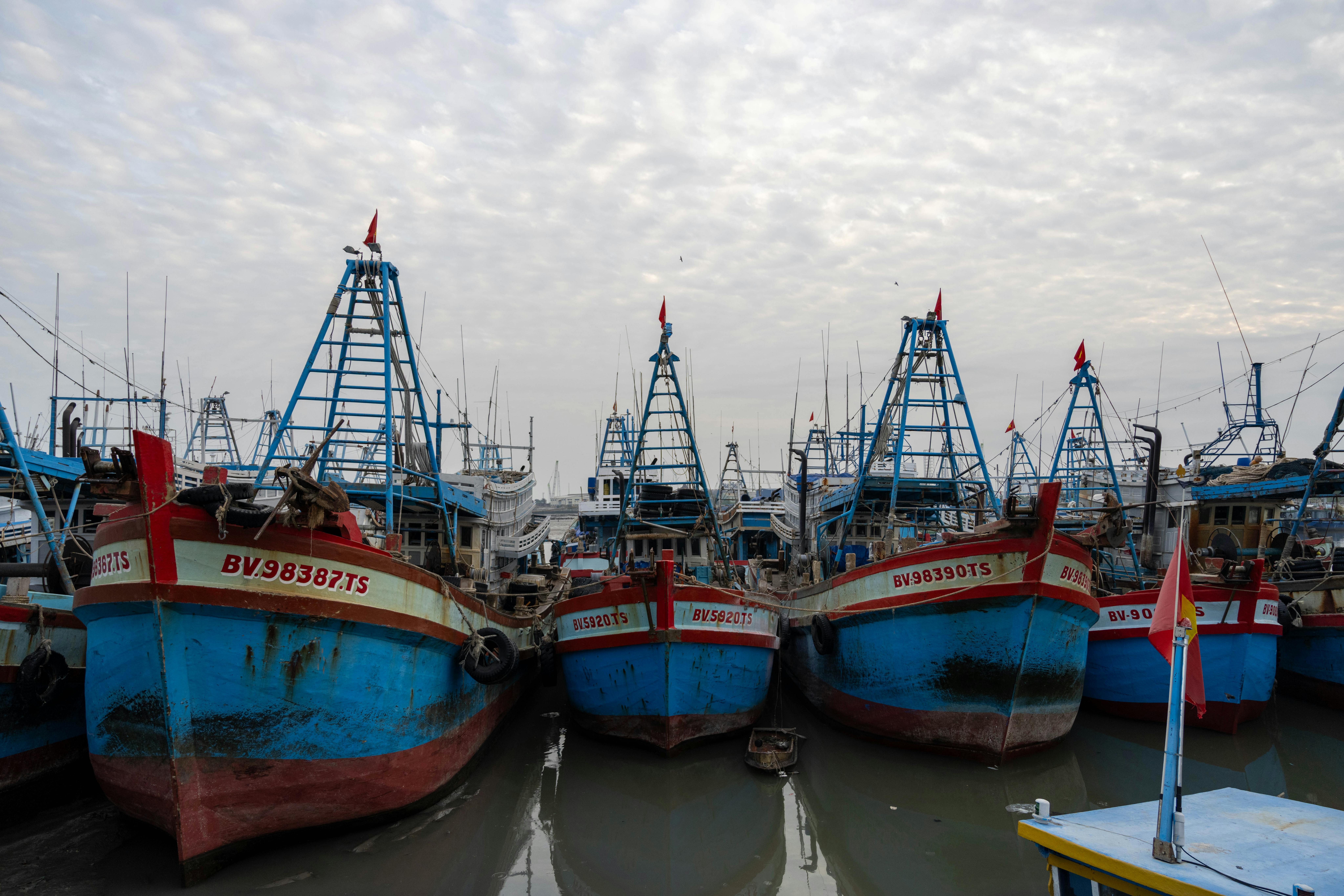 A Monte Carlo-based Evaluation of Fishery Management Strategies for Lizardfish (Saurida undosquamis) in the Gulf of Suez, Red Sea