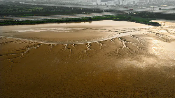 Chemical, Mineralogical and Physical Characteristics of a Material Accumulated on the River Margin from Mud Flowing from the Collapse of the Iron Ore Tailings Dam in Bento Rodrigues, Minas Gerais, Brazil