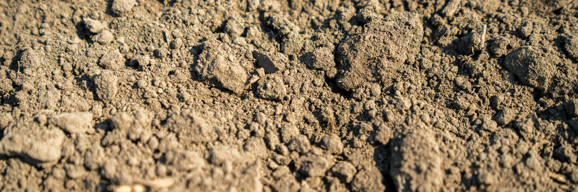 Clustering of Fine-Grained Tropical Soils using Data Science Tools Applied to their Geotechnical Properties Banner