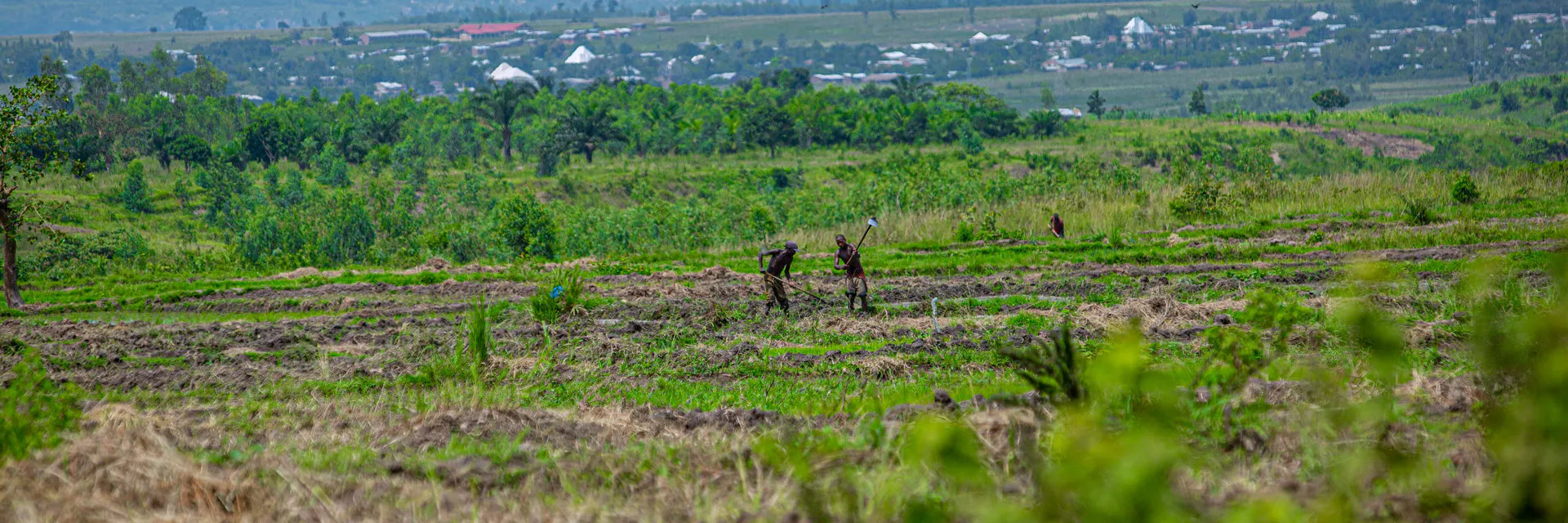 La culture maraîchère porteuse et levier de développement socio-économique du district de Betroka dans la région Anosy de Madagascar (cas de l’oignon) Banner