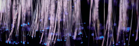 Spintronics and Optical Properties of Advanced Bio  Materials
