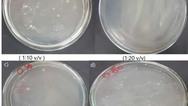 Overproduction of Some Plant Growth Promoters by Rhizospheric Microorganisms on Natural Medium