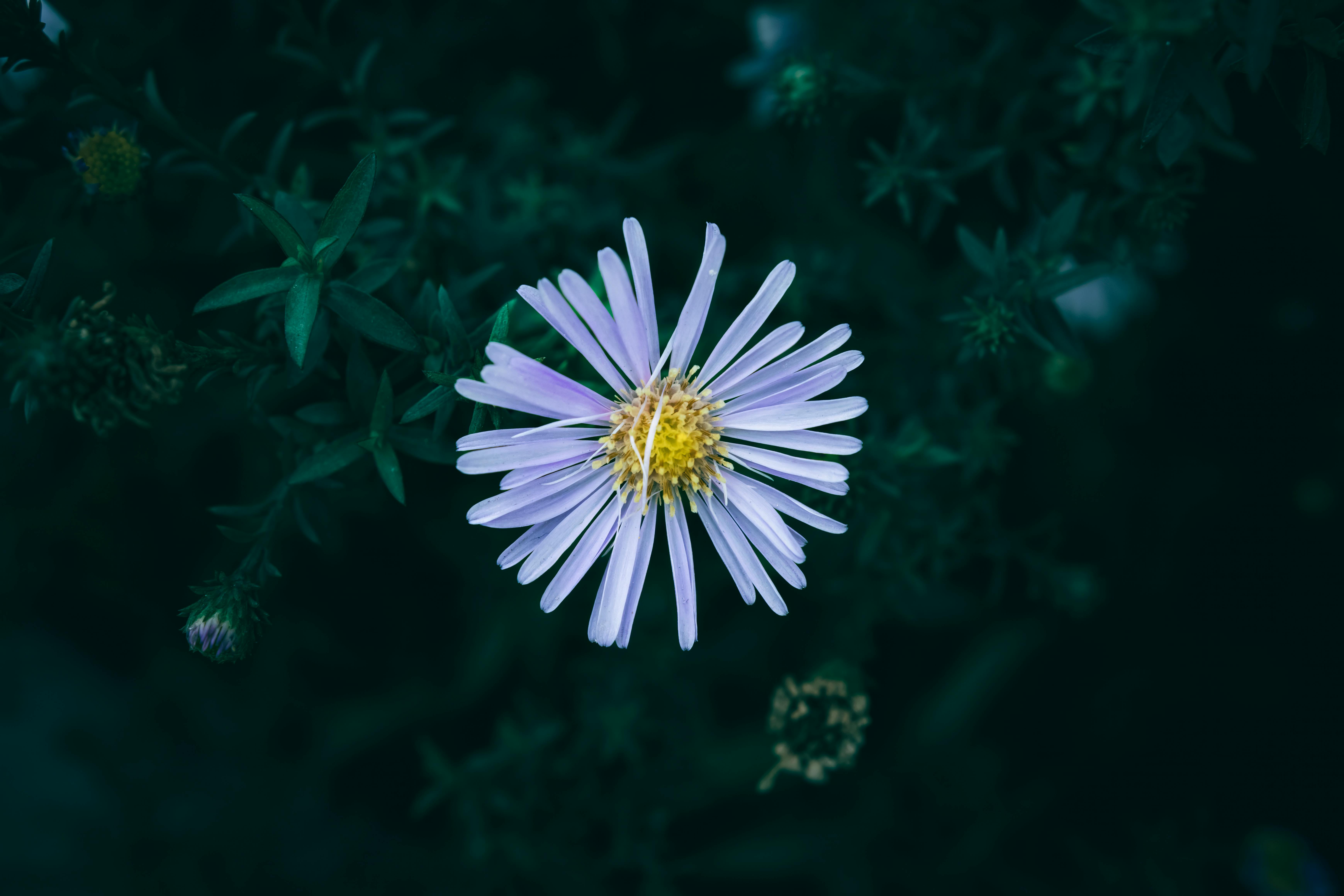 Narratives of the Migrant Crisis