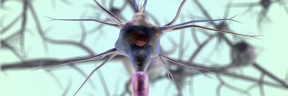 A Basic Drug Formulation Appropriate for Many Psychiatric Diagnoses Banner