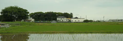 Characterization and Classification of Paddy and Associated Non Paddy Soils of Upper Brahmaputra Valley of Assam