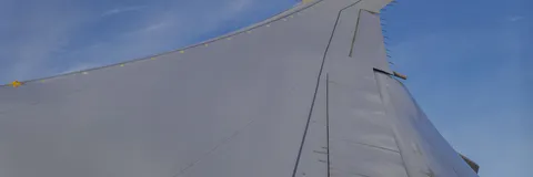 Airfoil Analysis and Effect of Wing Shape Optimization on Aerodynamic Parameters in a Steady Flight