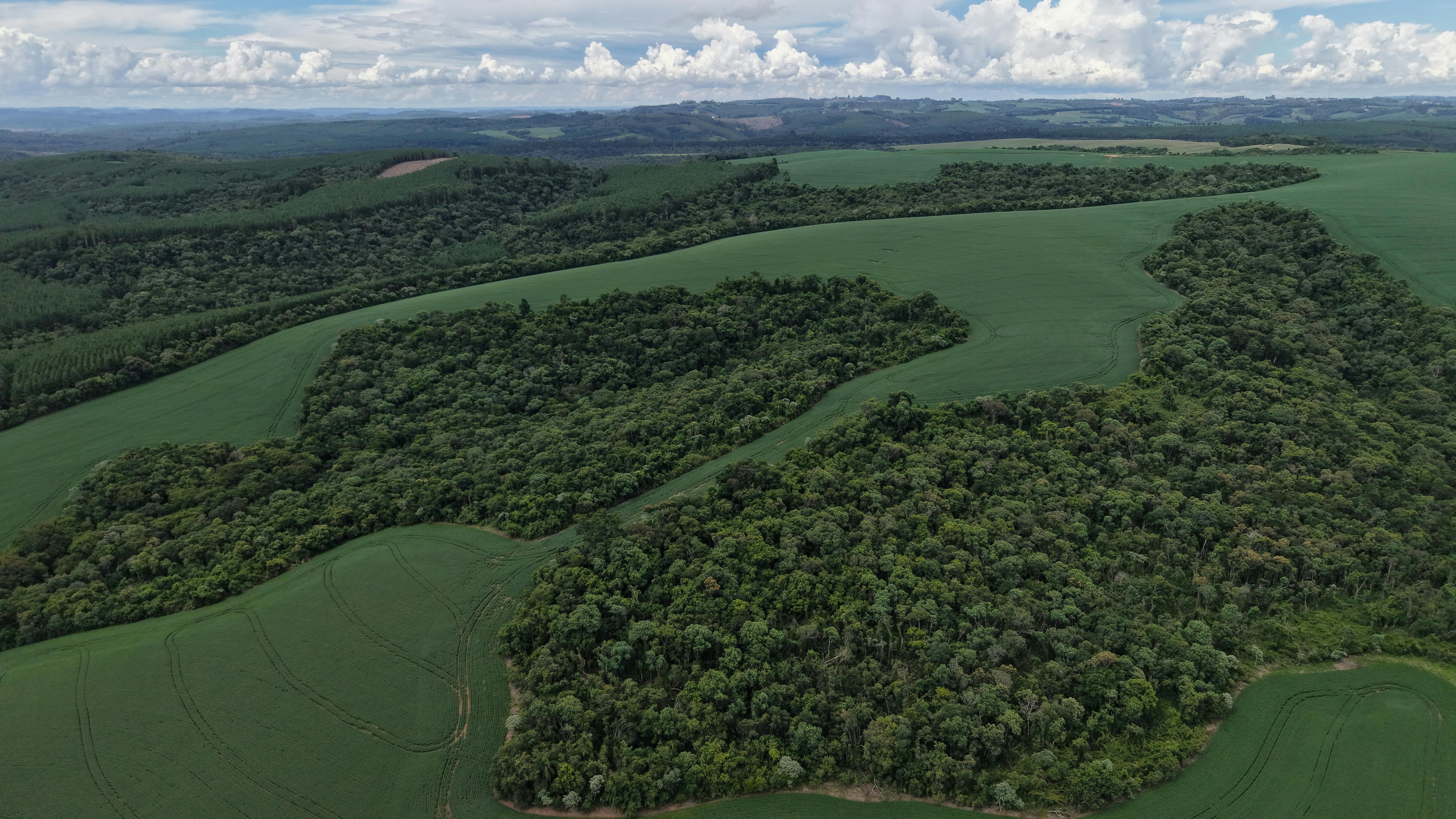 Systematic Review of the Literature on Family Farming and the Social and Solidarity Economy in Brazil and Latin America