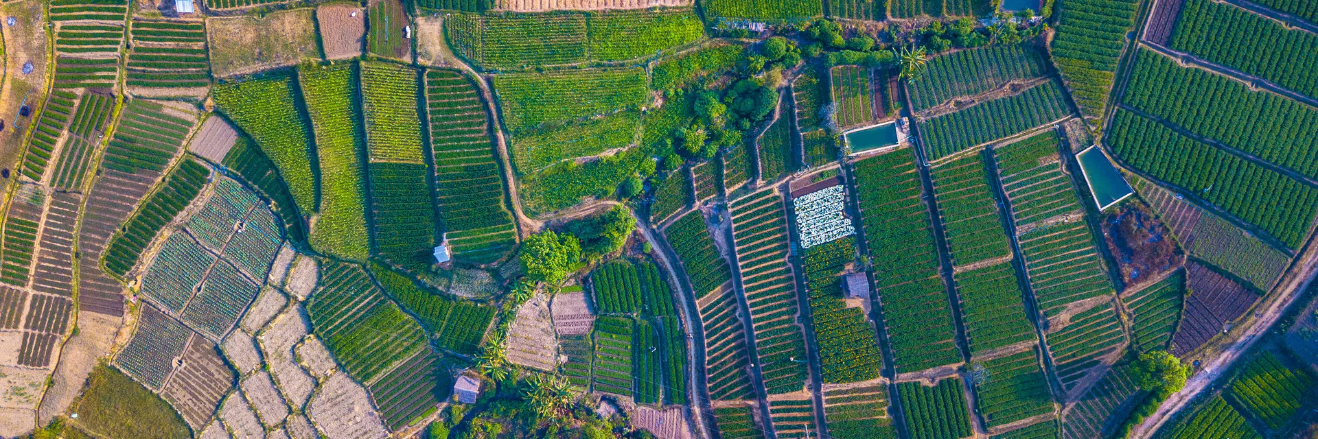 Influence Du Marketing Des Connaissances Agricoles Sur La Performance Des Organisations Paysannes Banner